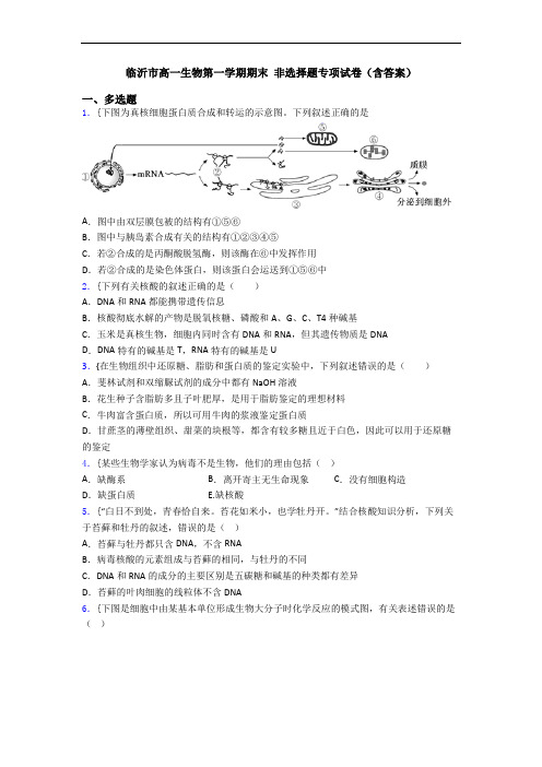 临沂市高一生物第一学期期末 非选择题专项试卷(含答案)