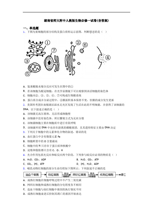 湖南省师大附中人教版生物必修一试卷(含答案)