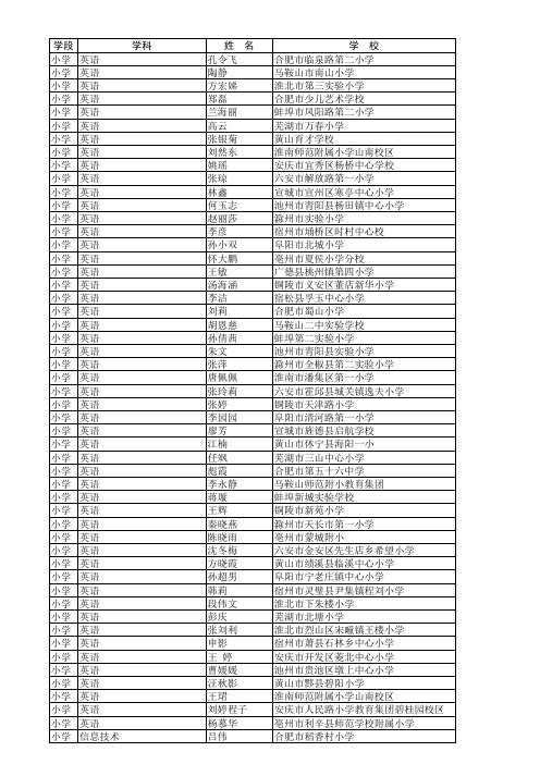 2017年安徽省中小学优质课评选获奖名单