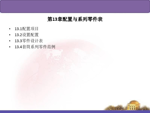 13.配置与系列零件表