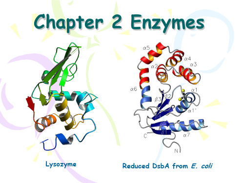 生物反应工程chap2enzyme1PPT课件精选全文完整版