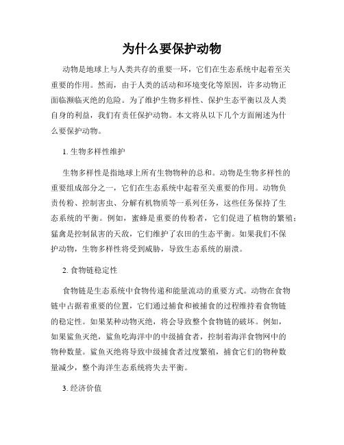 为什么要保护动物