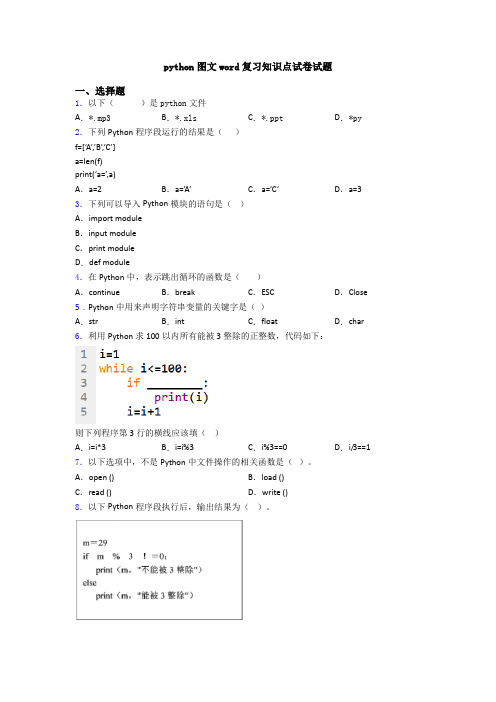 python图文word复习知识点试卷试题