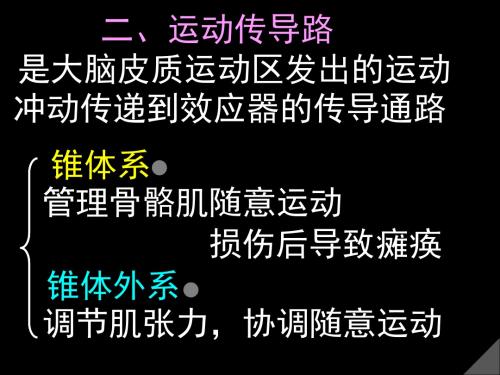 系统解剖学-20-运动传导通路-PPT文档资料