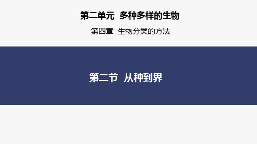 2.4.2从种到界 课件人教版生物七年级上册