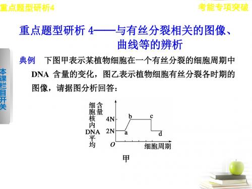 【步步高】2013高考生物一轮复习 第四单元考能专项突破课件