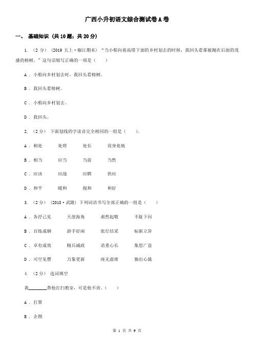 广西小升初语文综合测试卷A卷