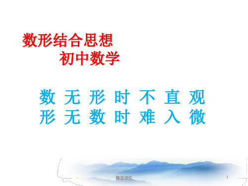 数学数形结合PPT