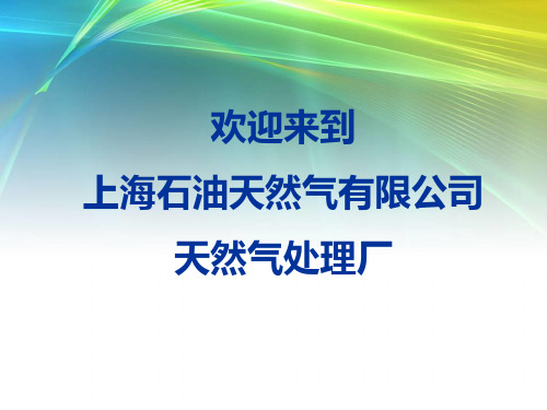 天然气处理厂介绍