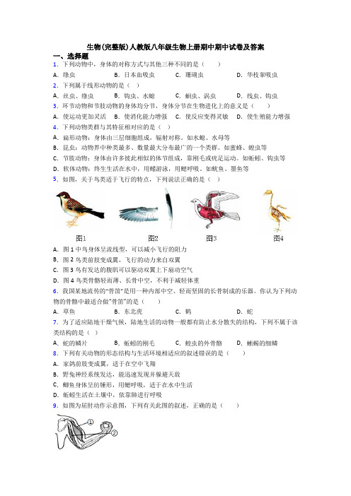 生物(完整版)人教版八年级生物上册期中期中试卷及答案