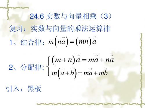 24.6(3) 实数与向量的乘法