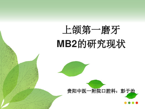 上颌第一磨牙MB2的研究现状