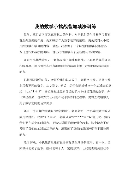 我的数学小挑战营加减法训练