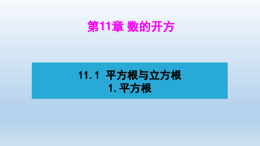 八年级数学上册 第11章 数的开方 教学课件华东师大版