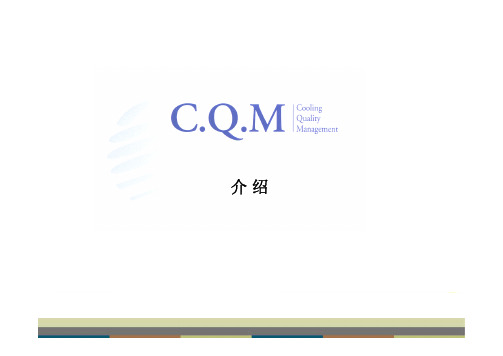 以色列CQM产品-换热器自动清洗装置