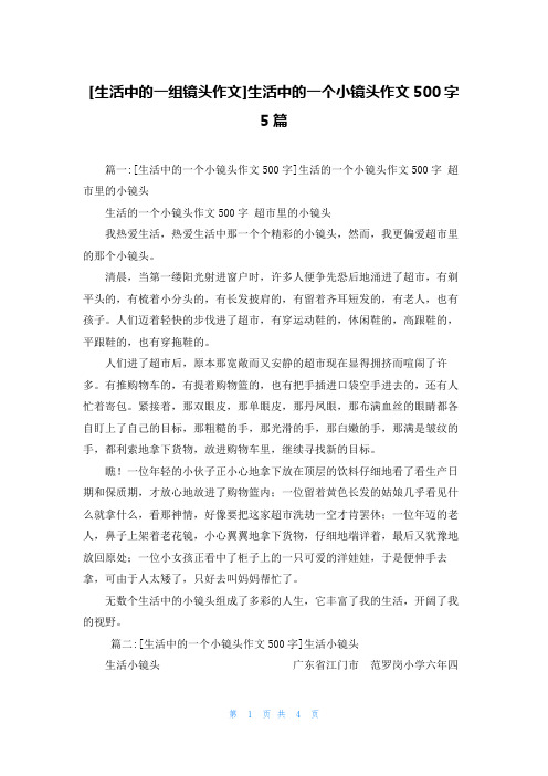 [生活中的一组镜头作文]生活中的一个小镜头作文500字5篇