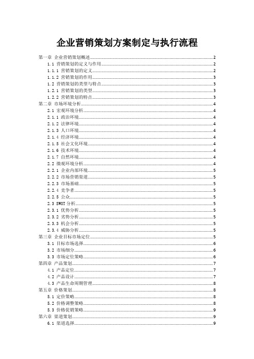 企业营销策划方案制定与执行流程