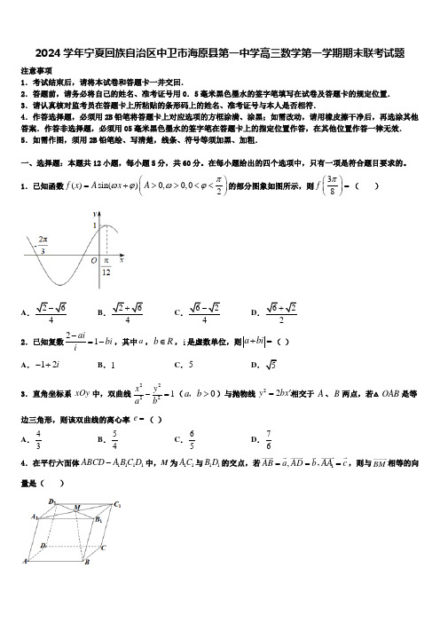 2024学年宁夏回族自治区中卫市海原县第一中学高三数学第一学期期末联考试题含解析