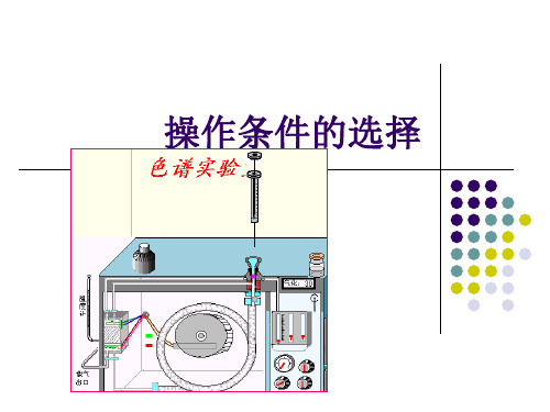 气相色谱操作条件的选择