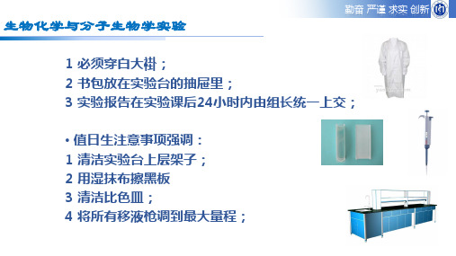 电泳技术原理及蛋白质的分离电泳实验课件