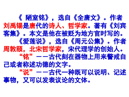 6.2019年中考课内文言文复习专题《陋室铭》《爱莲说》《河中石兽》