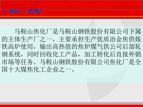 最新马鞍山钢铁焦化厂详细工艺流程专业知识讲座