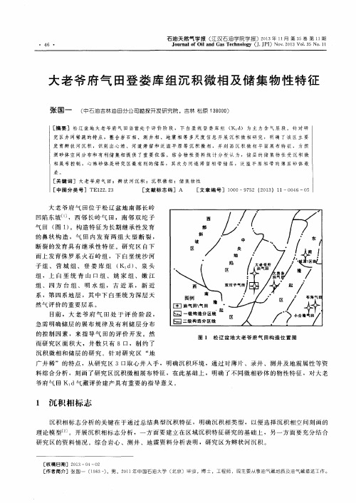 大老爷府气田登娄库组沉积微相及储集物性特征