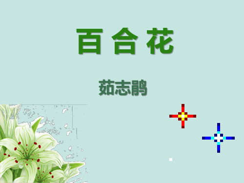 《百合花》优秀课件71张PPT-汪爱新