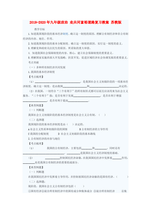 2019-2020年九年级政治 走共同富裕道路复习教案 苏教版