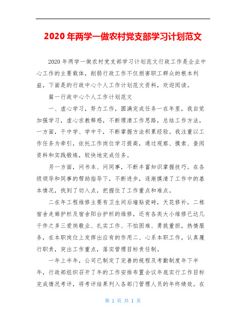 2020年两学一做农村党支部学习计划范文