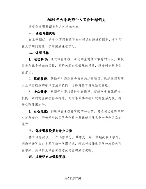 2024年大学教师个人工作计划例文（三篇）