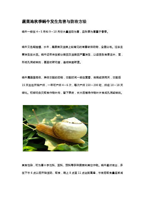 蔬菜地秋季蜗牛发生危害与防治方法