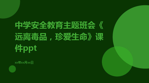 中学安全教育主题班会《远离毒品,珍爱生命》课件ppt