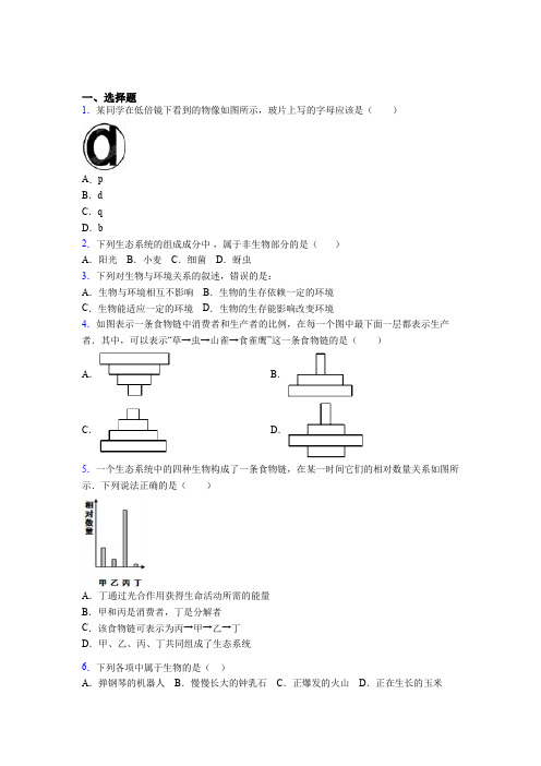 南京市2019年七上生物期末模拟调研测试题之三