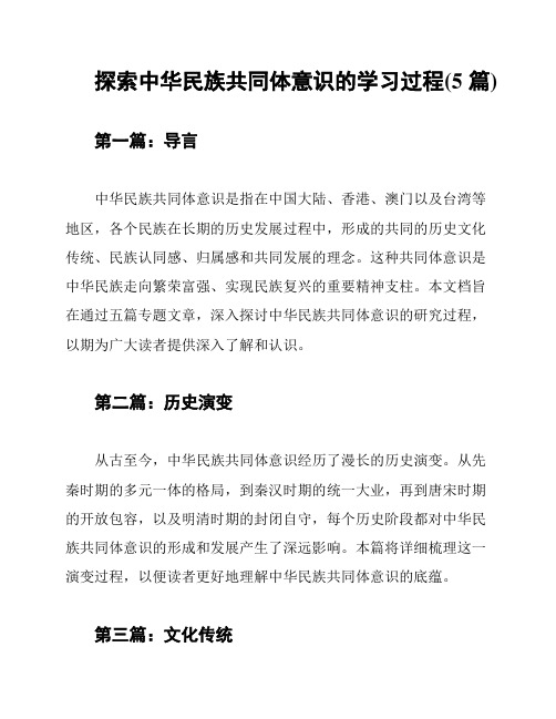 探索中华民族共同体意识的学习过程(5篇)