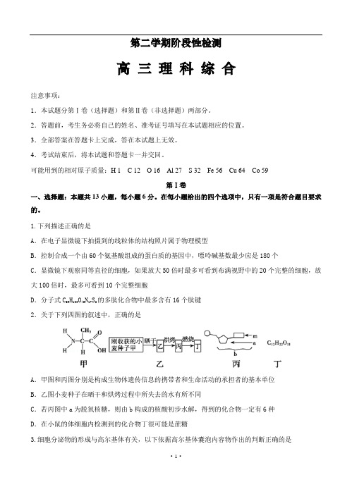 山西省2019-2020年高三下学期阶段性检测(4月)理科综合(WORD版含答案)