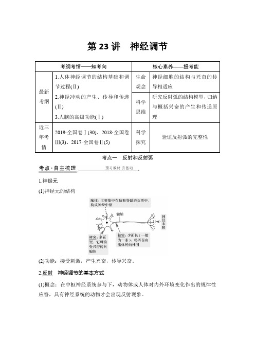 2021年高考生物冲刺练习 神经调节