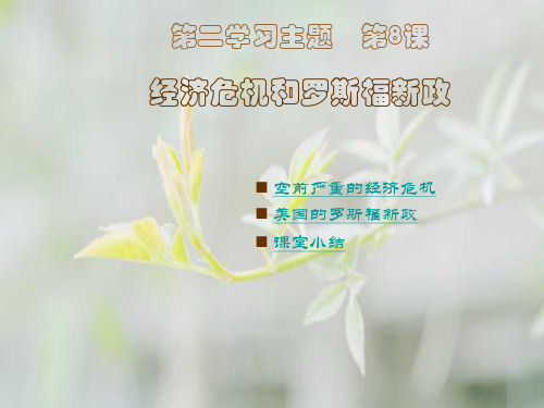 经济危机和罗斯福新政PPT教学课件