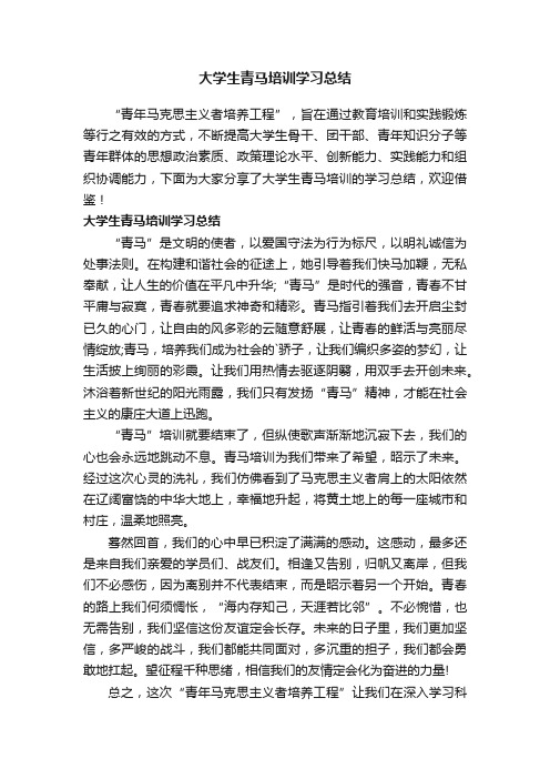 大学生青马培训学习总结