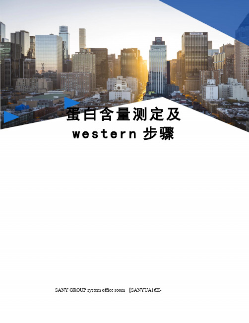 蛋白含量测定及western步骤