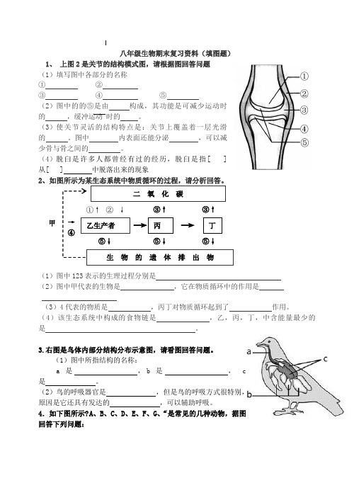 生物八年级上册填图题