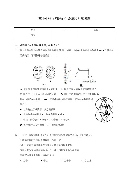 高中生物《细胞的生命历程》练习题(含答案解析)