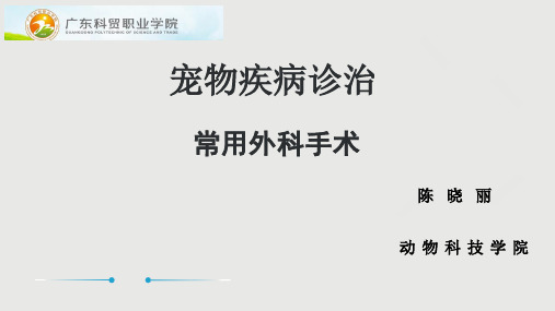 宠物疾病诊治  常用外科手术