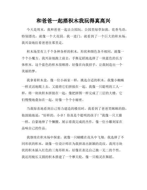 三年级作文那次玩得真高兴之和爸爸一起搭积木我玩得真高兴