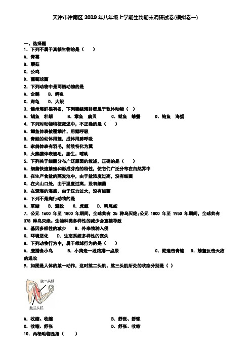 天津市津南区2019年八年级上学期生物期末调研试卷(模拟卷一).doc