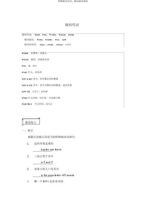 特殊疑问代词、疑问副词讲练