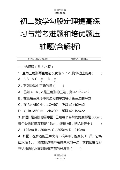 初二数学勾股定理提高练习与常考难题和培优题压轴题(含解析) 之欧阳生创编