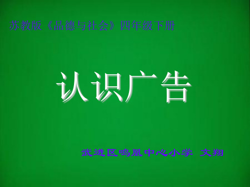 广告语言文字管理暂行规定-武进区鸣凰中心小学