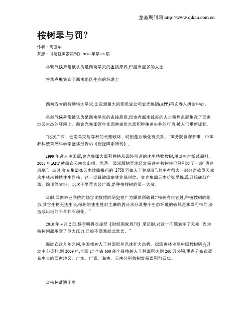 桉树罪与罚