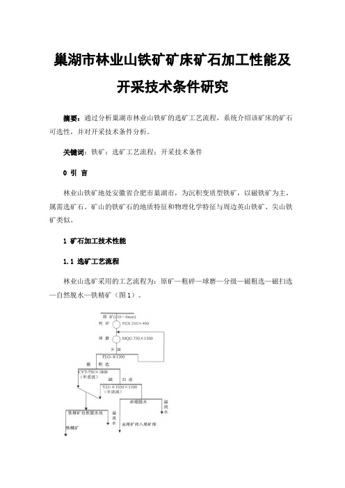 巢湖市林业山铁矿矿床矿石加工性能及开采技术条件研究